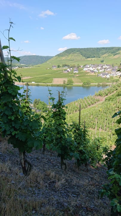 Ausblick Hotel Burgfrieden