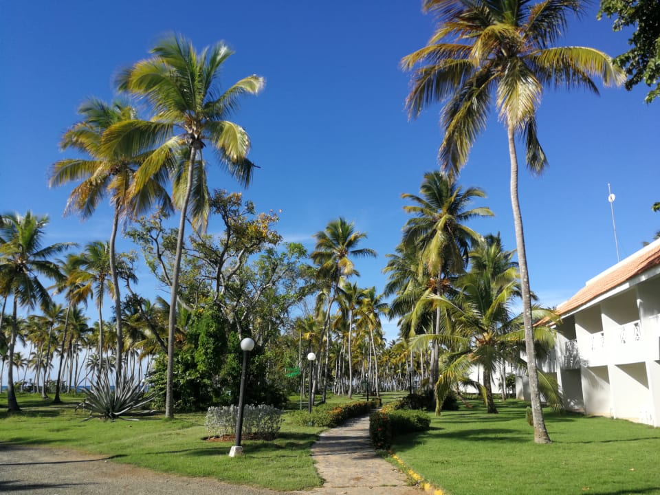 Garten Wyndham Alltra Samana