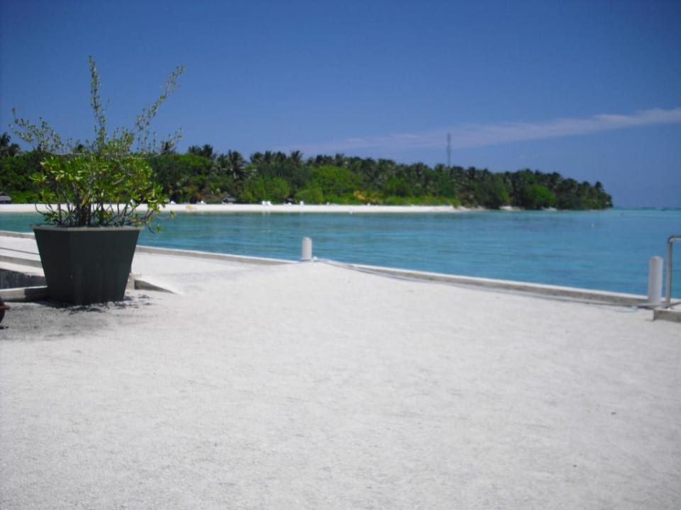Blick von SIV Summer Island Maldives