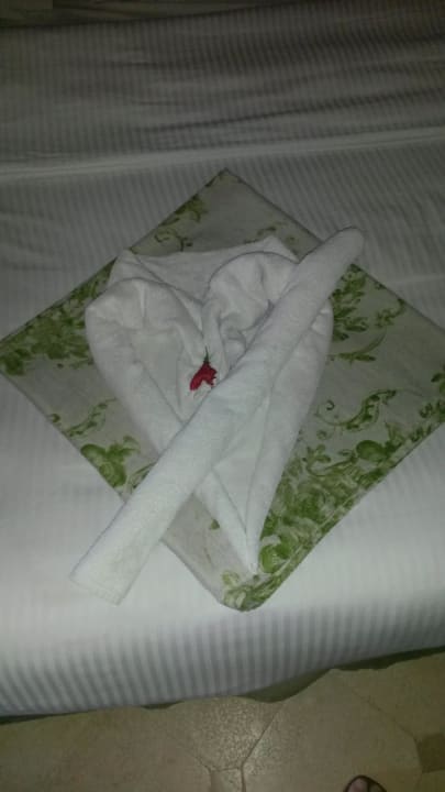 Bett Deko Ghazala Gardens