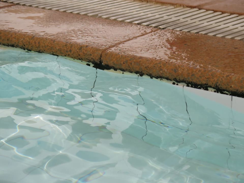 Pool Club Palm Azur
