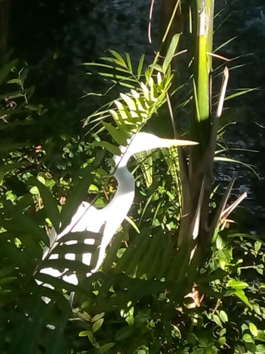 Sonstiges Hotel Grand Palladium Palace Resort, Spa & Casino