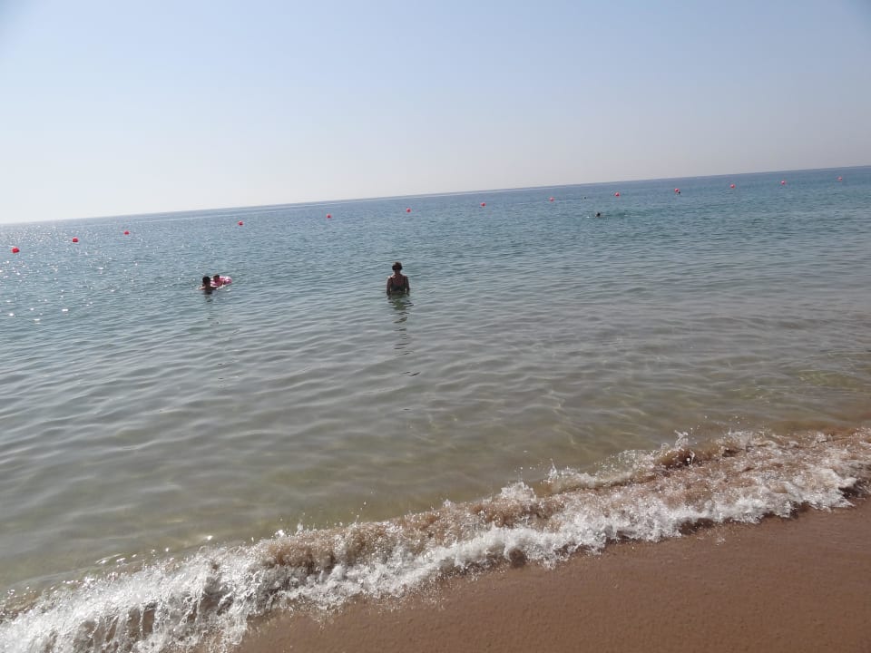 Ölverseucht, schade  Hotel Le Meridien Al Aqah Beach Resort