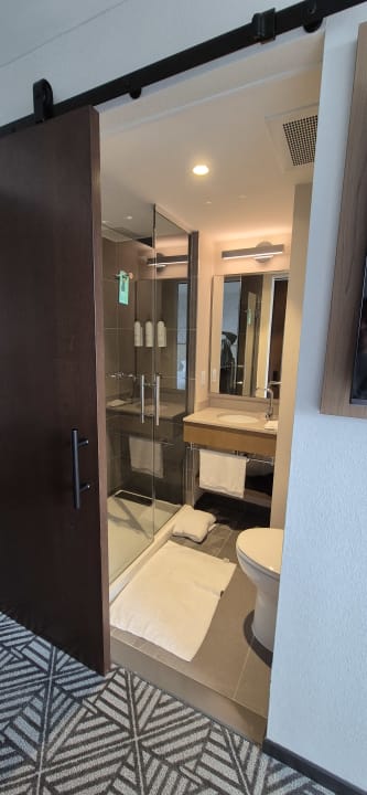 Zimmer SpringHill Suites by Marriott New York Manhattan Chelsea