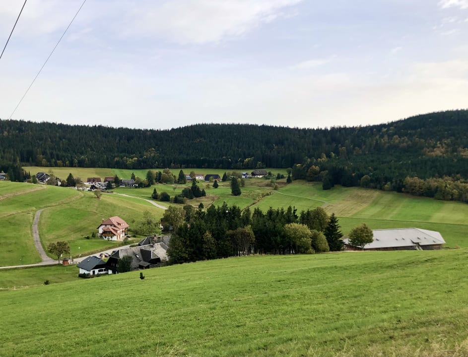Ausblick derWaldfrieden naturparkhotel