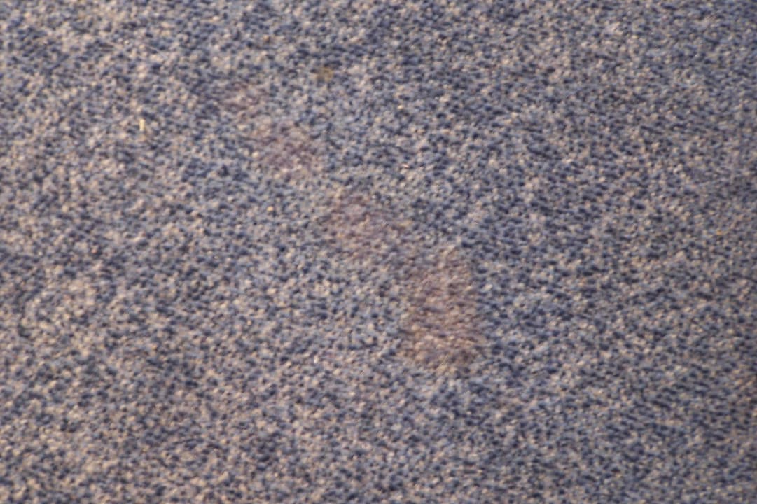 Teppichboden Apartmenthaus Panorama