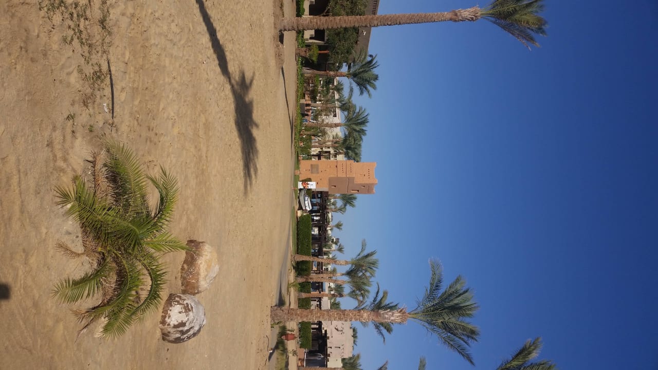 Strand Pickalbatros Sands Hotel - Port Ghalib