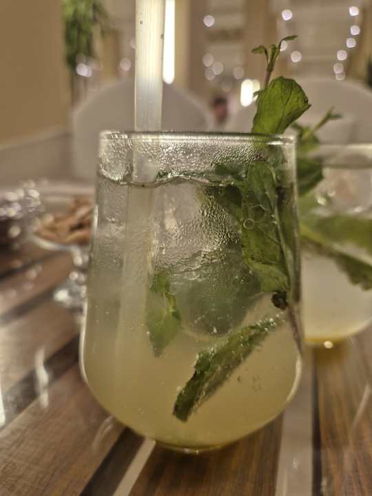 Gastro JAZ Elite Asteria