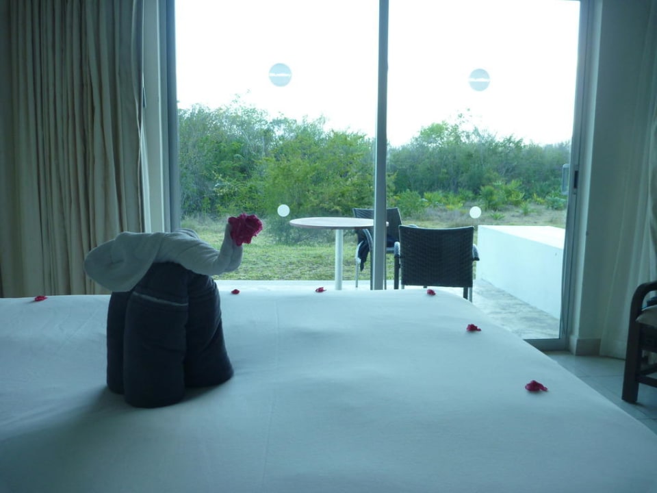 Zimmerdeko und Ausblick in den Dschungel BlueBay Grand Esmeralda