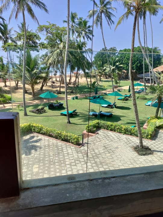 Gartenanlage Royal Palms Beach Hotel