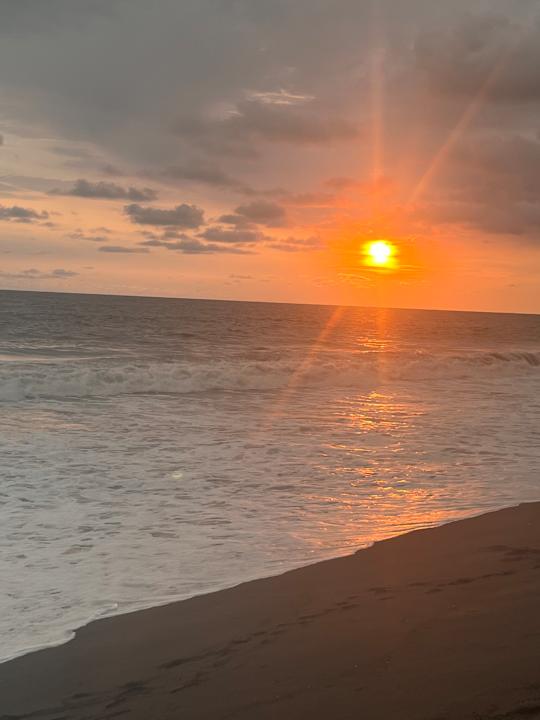 Strand Hotel Pez de Oro