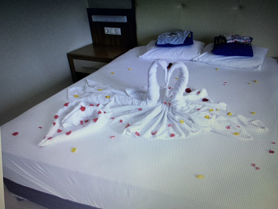 Zimmer Calimera Hane Garden