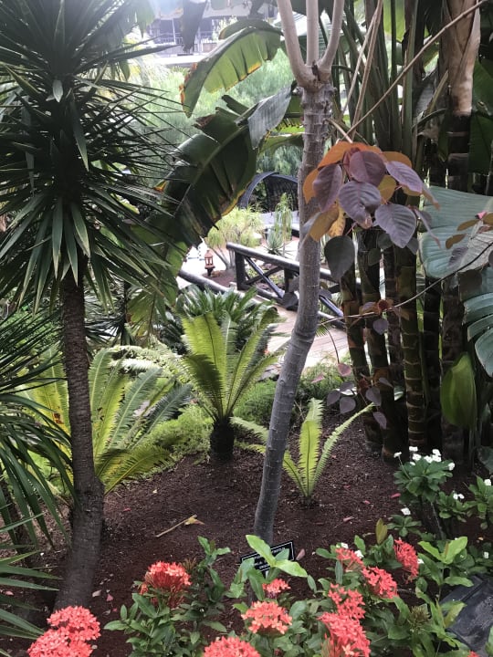 Gartenanlage Hotel Parque Tropical