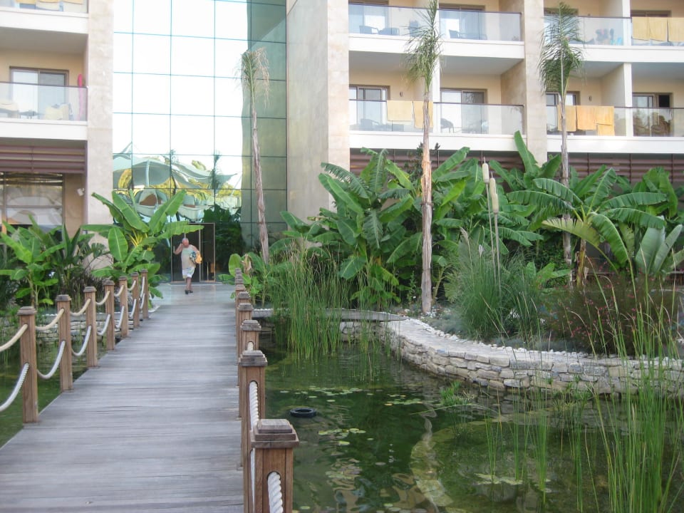 Schöner Teich Paloma Pasha