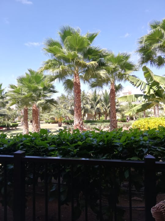 Ausblick Hotel Riu Touareg