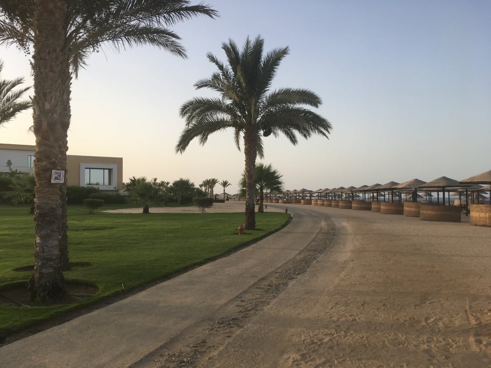 Strand Pickalbatros Palace Hotel-Port Ghalib