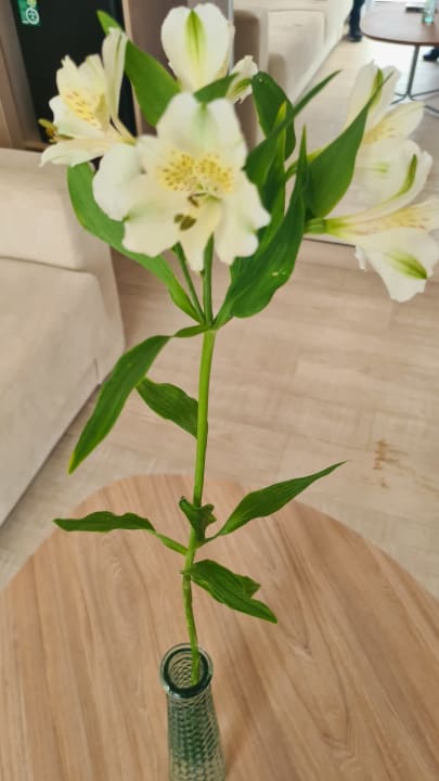 Zimmer Sabina Hotel & Suites