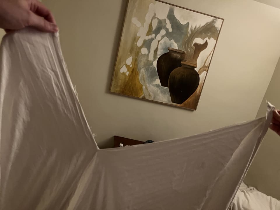 Zimmer Grand Waterworld Makadi & Family Star Makadi