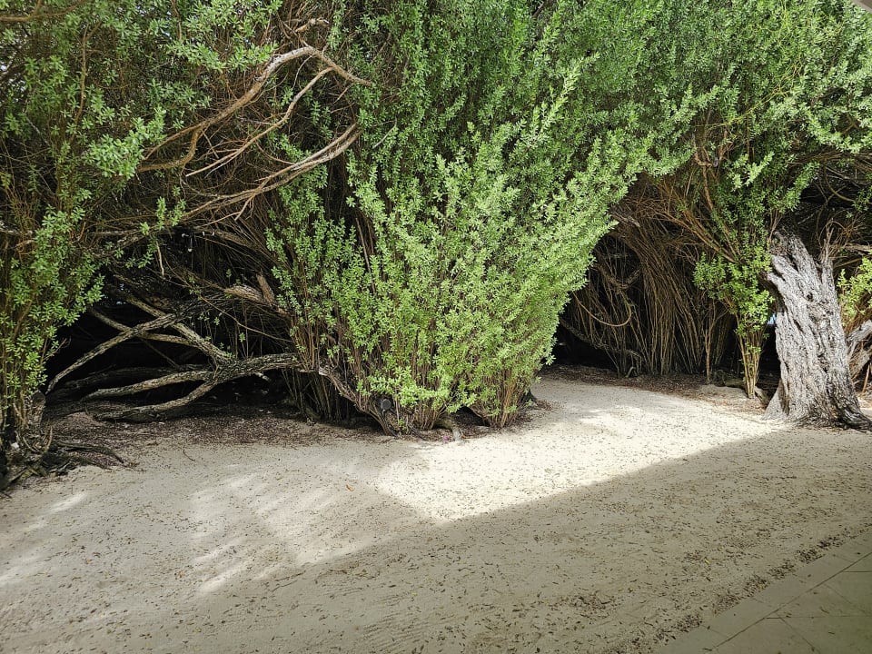 Ausblick Embudu Village