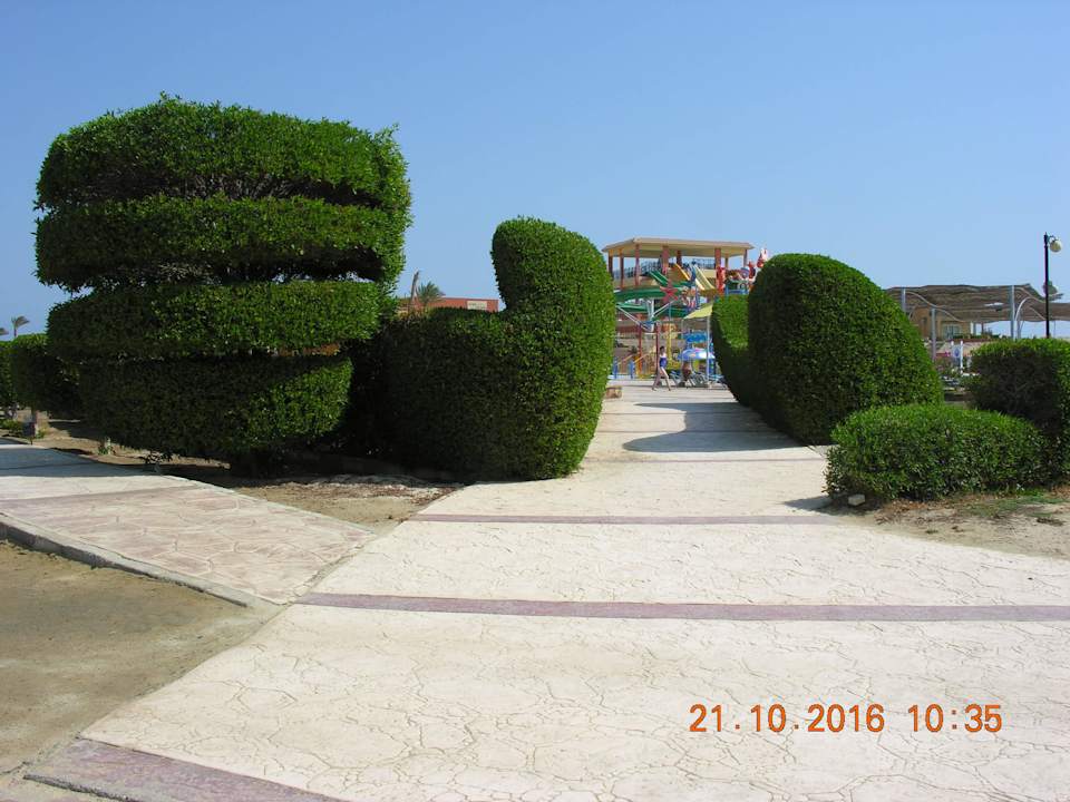 Pięknie uformowane krzewy. Malikia Resort Abu Dabbab