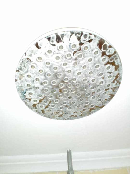 Zimmer Hotel Orfeus Park