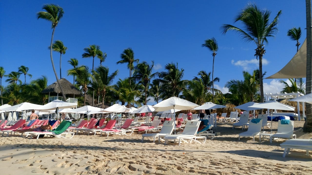 Strand Catalonia Royal La Romana - Adults only