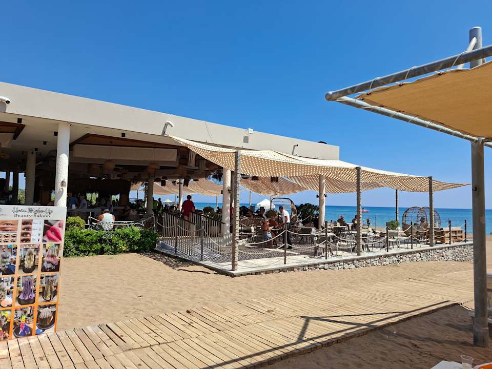 Strand Seashell Vega