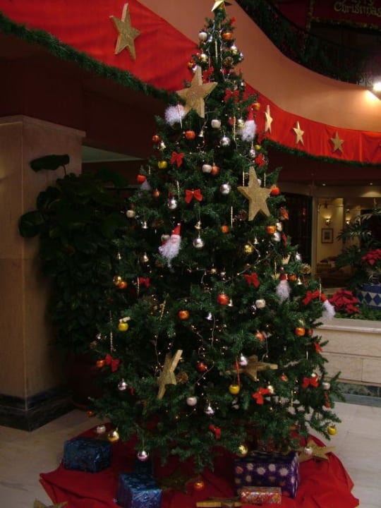 Christbaum Giftun Azur Resort