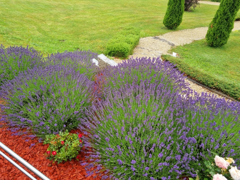 Gartenanlage Parkhotel Waldlust