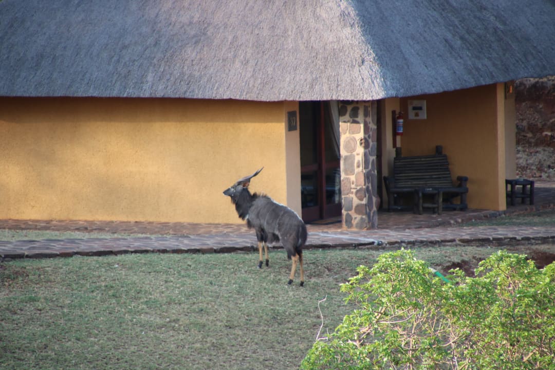 Gartenanlage Hannah Game Lodge