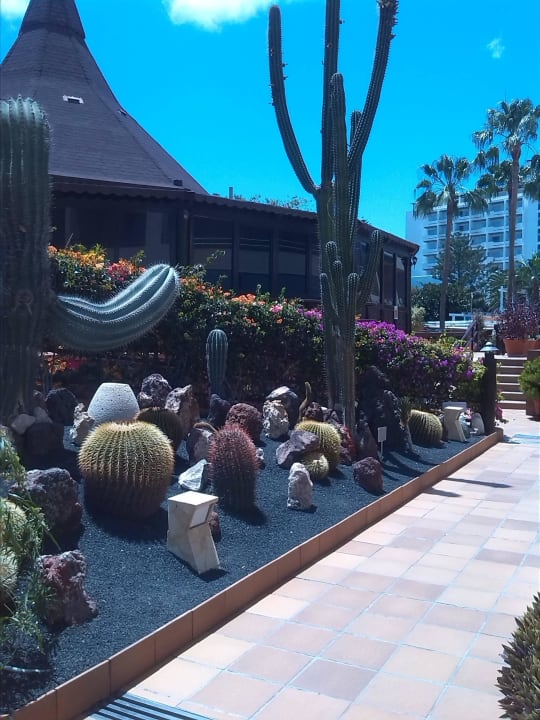 Gepflegte Gartenanlage IFA Altamarena by Lopesan Hotels