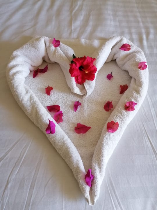 Zimmer Three Corners Sea Beach Resort