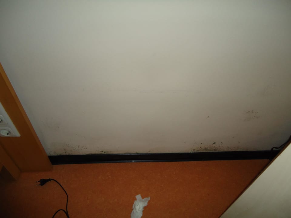 Hinterm Schrank Hotel Carpe Diem