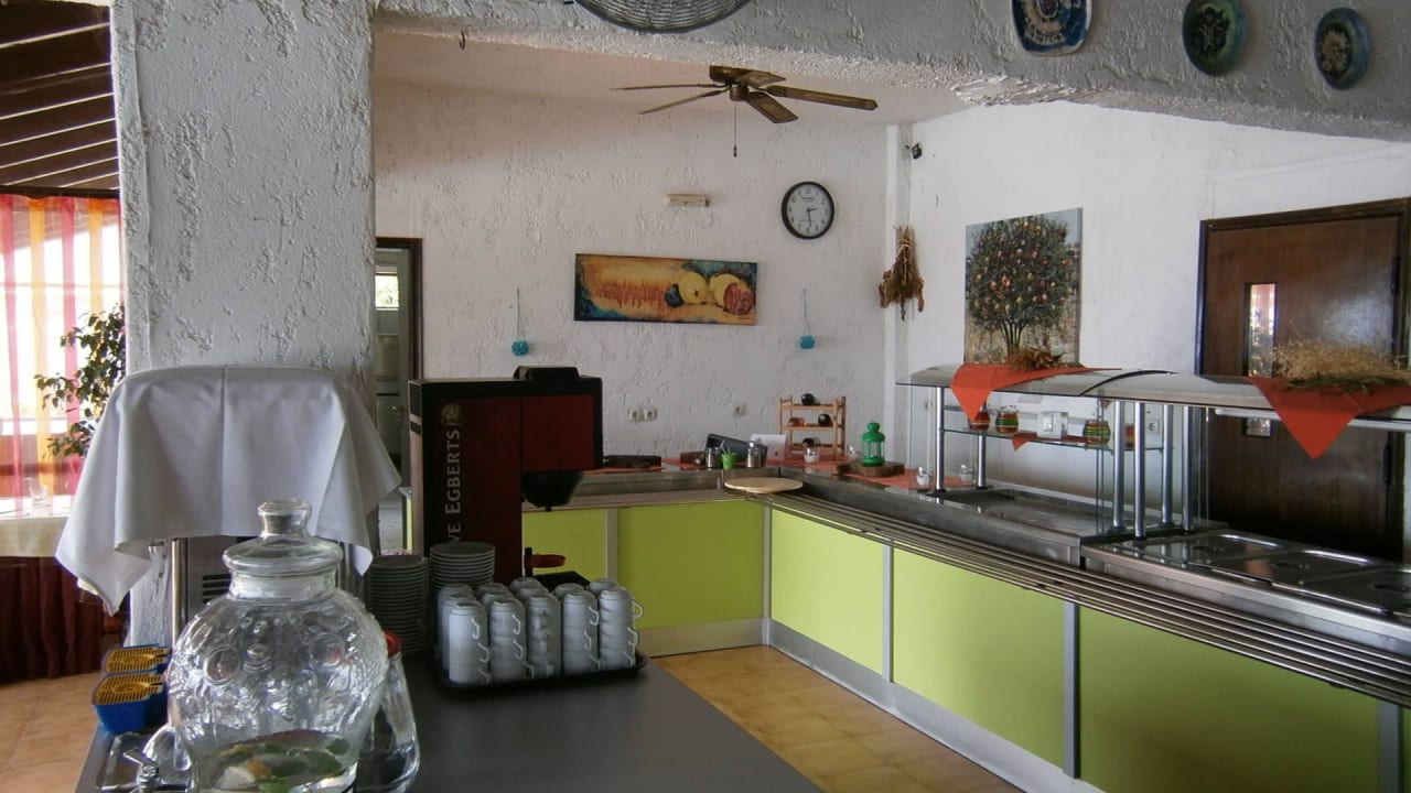 Es hat Platz für alle... Nautilus Barbati