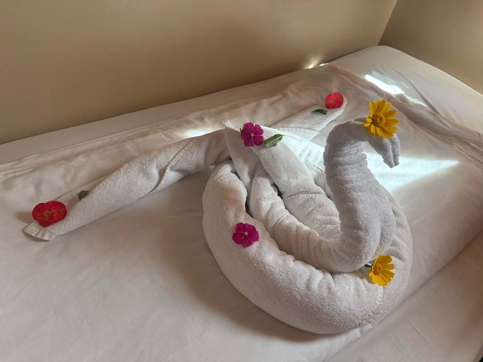 Zimmer Jaz Makadi Oasis Resort