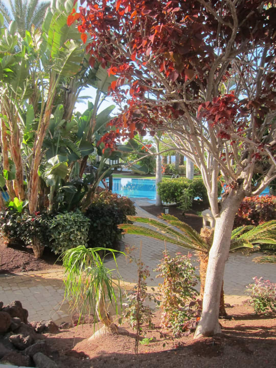 Gartenanlage R2 Rio Calma Hotel & Spa & Conference