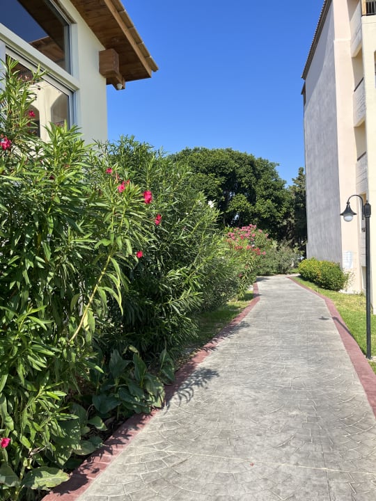 Gartenanlage Myrina Beach Hotel