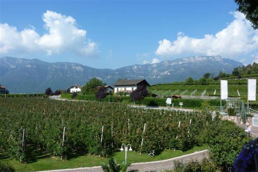 Blick vom Balkon auf die Obstplantagen Gartenhotel Moser