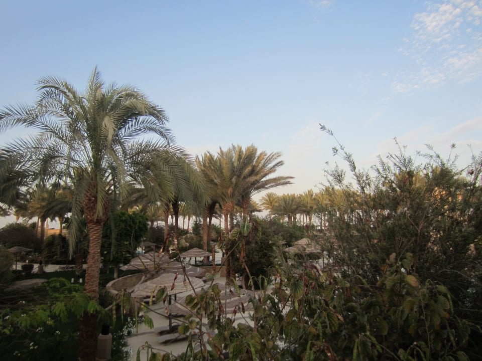 Blick vom Balkon Grand Makadi