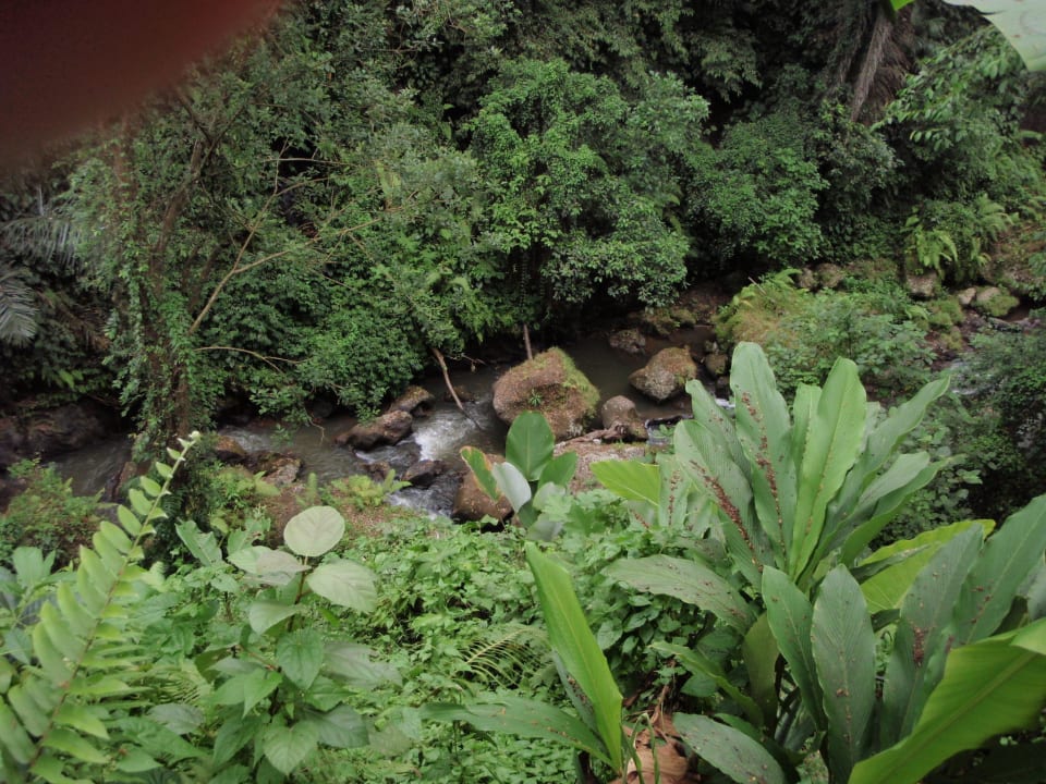 Nature Walk, wunderschön Maya Ubud Resort & Spa Bali