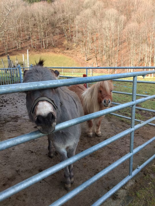 Sonstiges Bauernhof Bernhardenhof