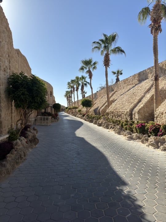 Ausblick Pickalbatros Citadel Resort