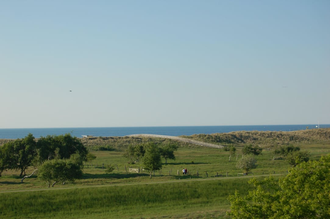 Ausblick vom Zimmer Ferienwohnungen Ferienpark Weissenhäuser Strand