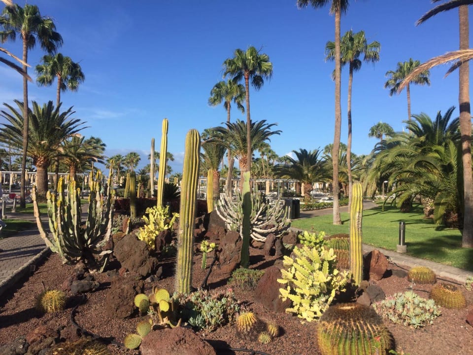 Gartenanlage Hotel Riu Gran Canaria