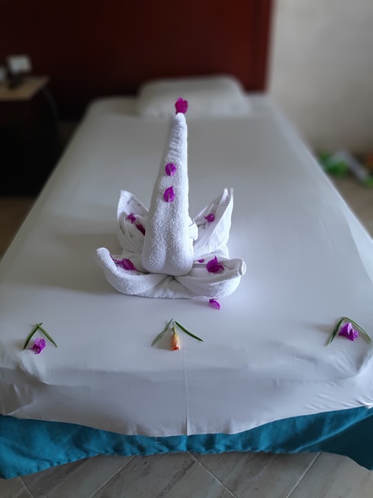 Zimmer Malikia Resort Abu Dabbab