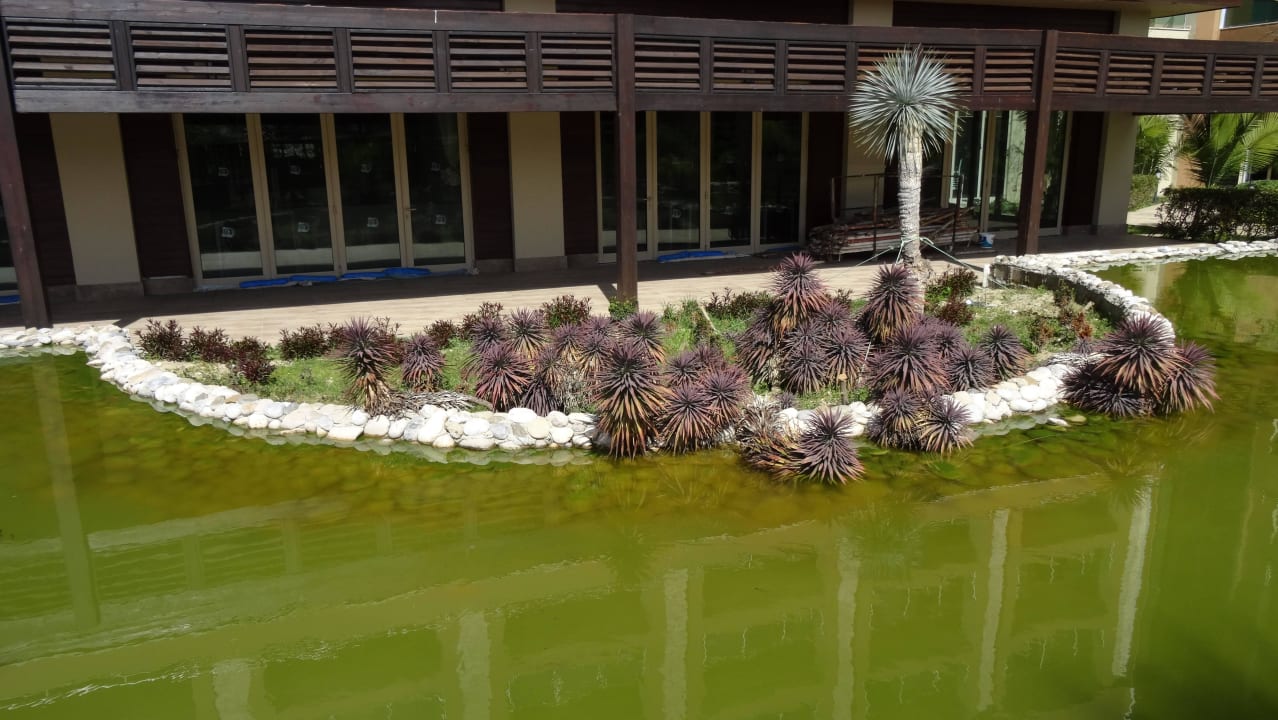 Teich Sunis Kumköy Beach Resort Hotel & Spa