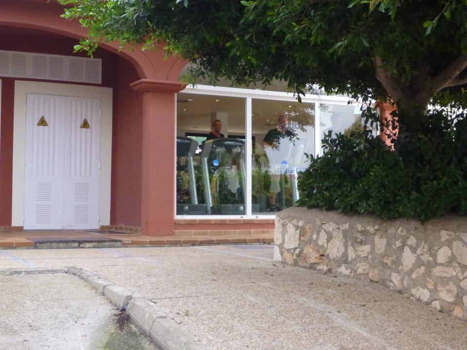 Gym blau punta reina