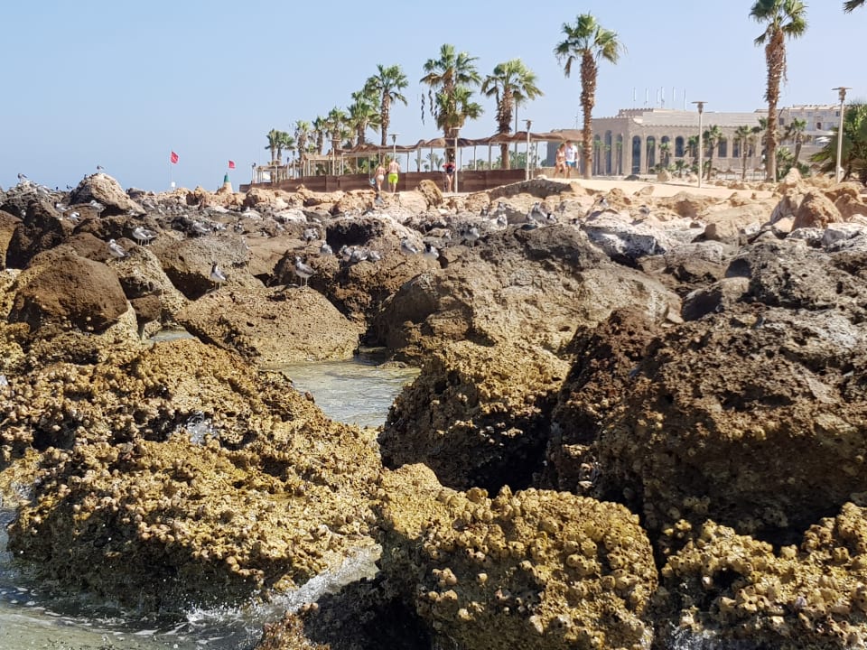 Strand Pickalbatros Citadel Resort