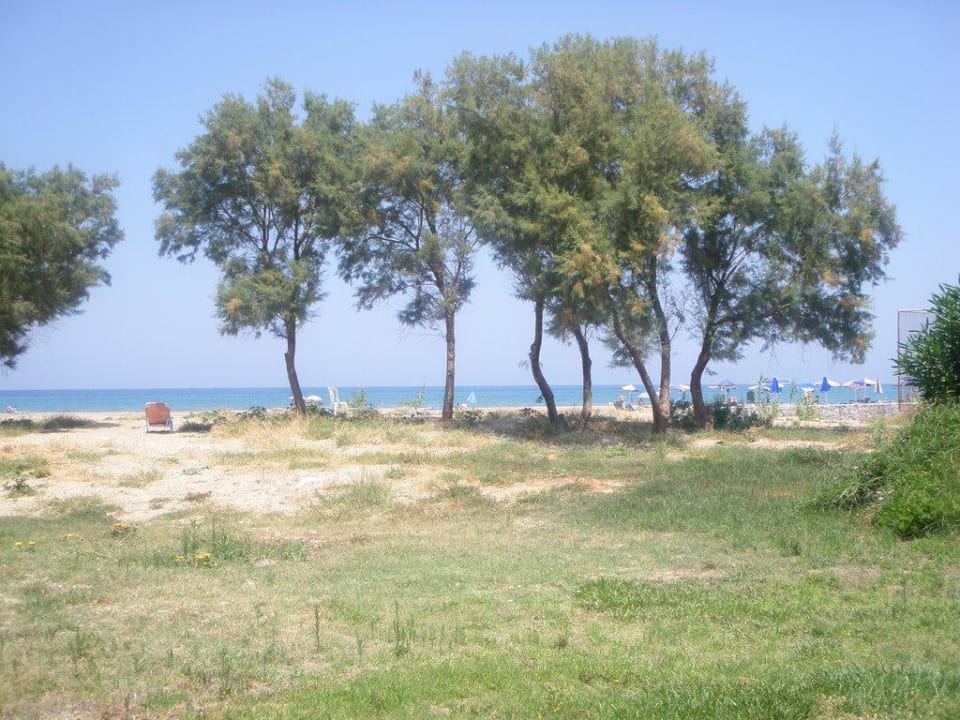Strand Mythos Palace Resort & Spa