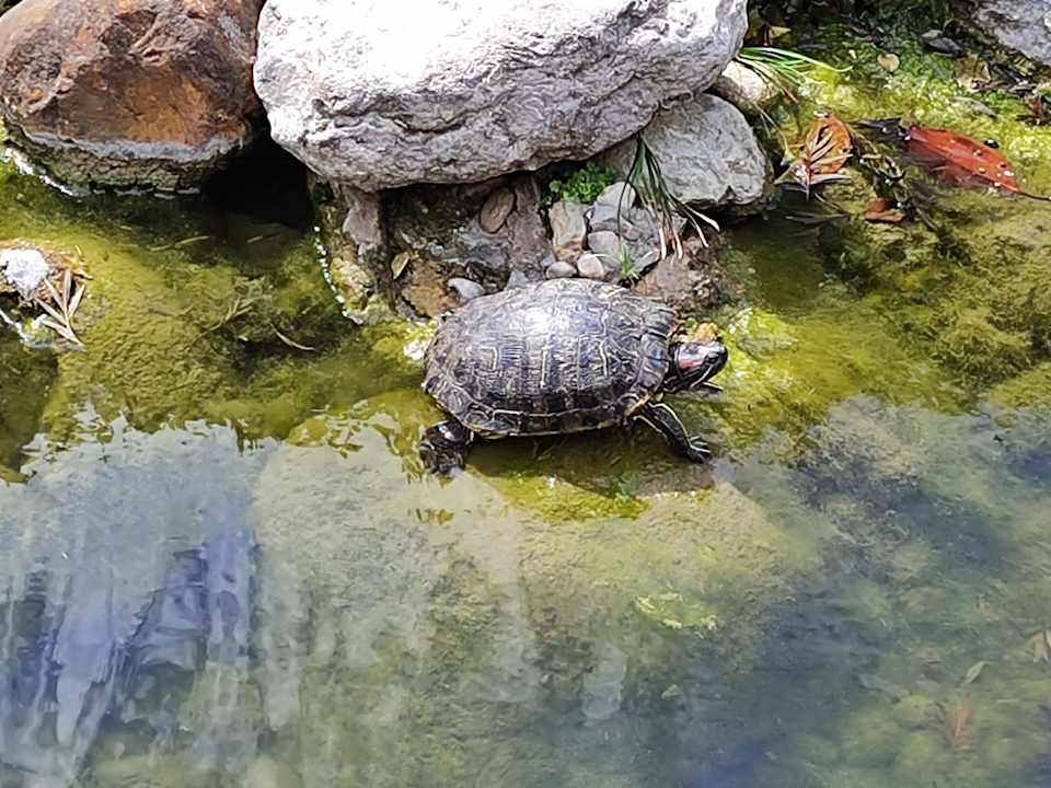 Gartenanlage Limak Limra Hotel & Resort